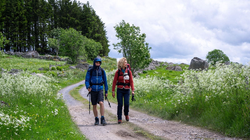Szenenbild Die Camino-Therapie - Finde deinen Weg zwei Wanderer laufen einen Weg entlang